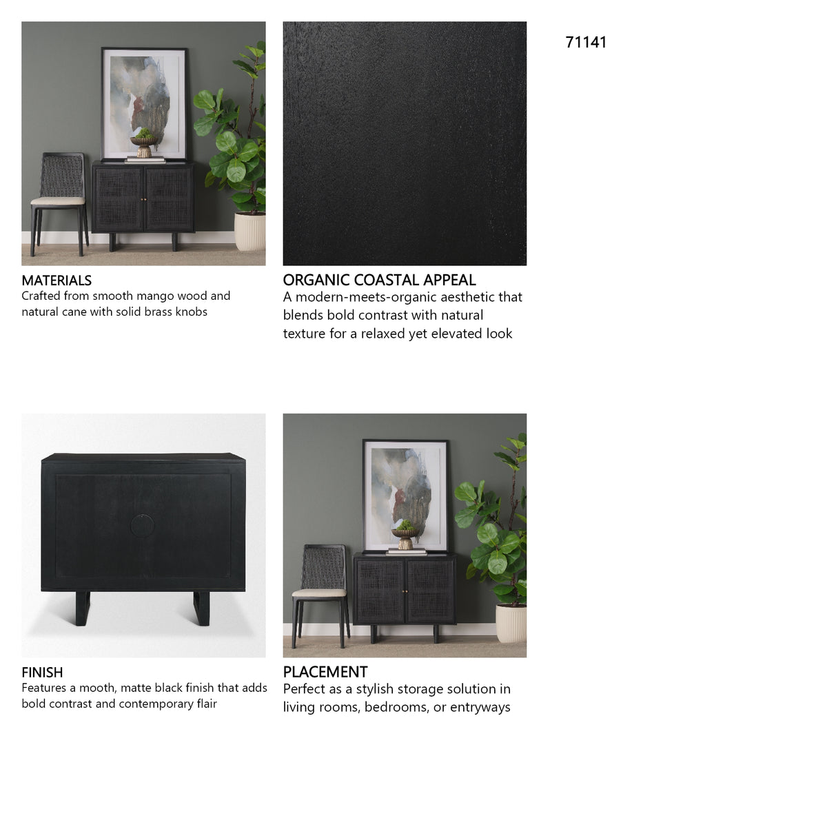 Grier Matte Black Stained Wood w/ Black Cane Accent Cabinet from Mercana - Luna Furniture