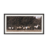 The Painted Herd by Chad Mackay Textured Framed Photo Print Matted under Glass from Mercana - Luna Furniture