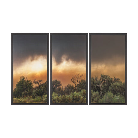 Rebirth by Nathan Larson Textured Framed Canvas Artwork (Set of 3) from Mercana - Luna Furniture
