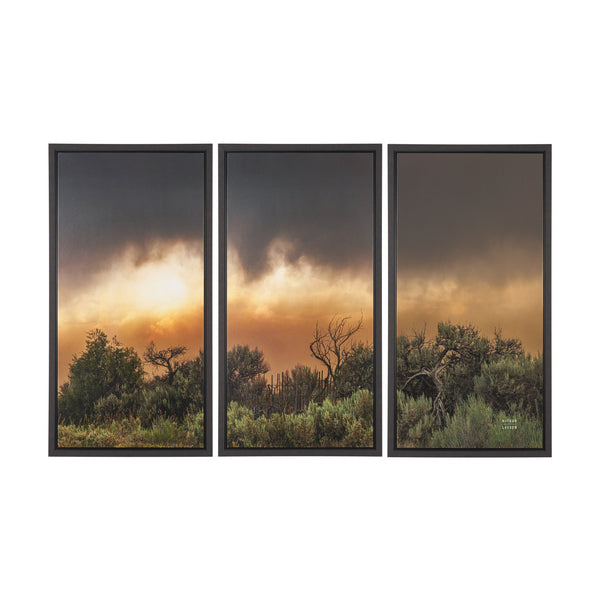 Rebirth by Nathan Larson Textured Framed Canvas Artwork (Set of 3)