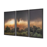 Rebirth by Nathan Larson Textured Framed Canvas Artwork (Set of 3) from Mercana - Luna Furniture