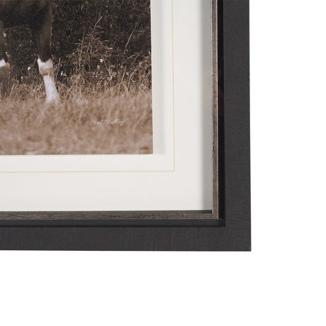 The Painted Herd by Chad Mackay Textured Framed Photo Print Matted under Glass from Mercana - Luna Furniture