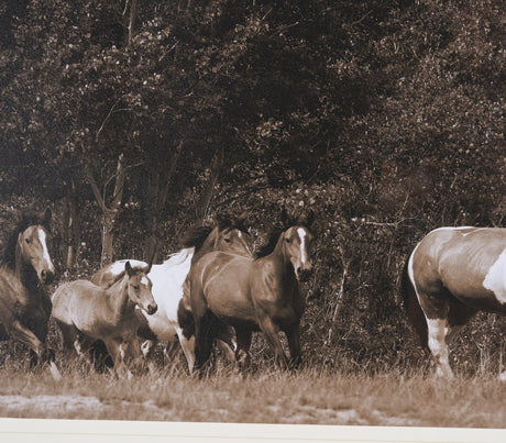 The Painted Herd by Chad Mackay Textured Framed Photo Print Matted under Glass from Mercana - Luna Furniture