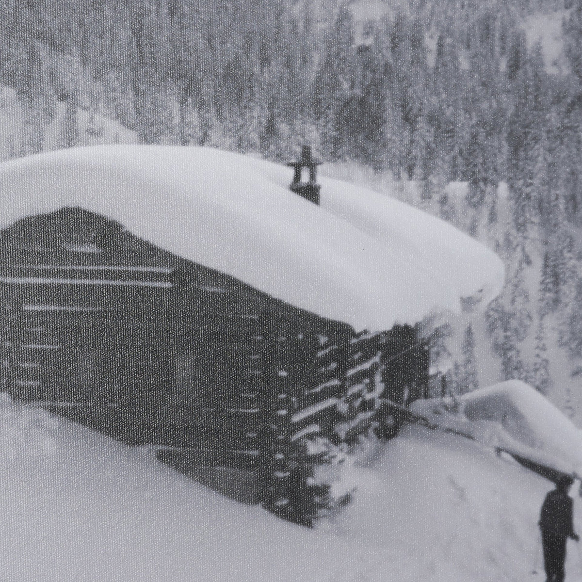 Cosy Cabin by Antoinette Frissell Textured Framed Photo Print Matted under Glass from Mercana - Luna Furniture