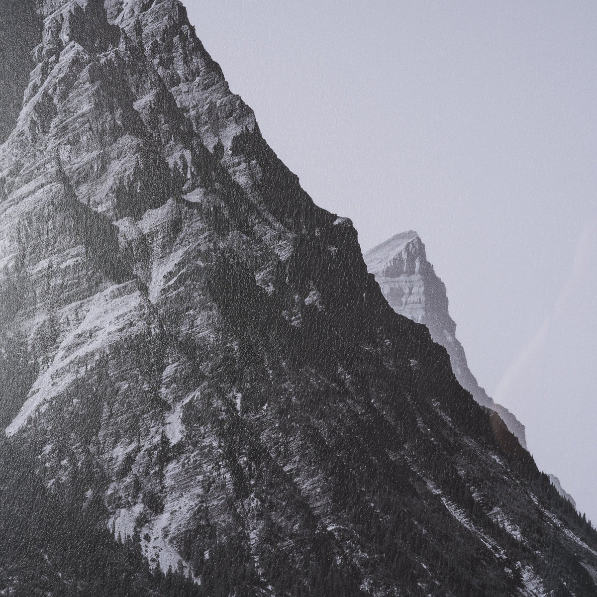 Mountain Mamma BW by Nathan Larson Textured Framed Photo Print Matted under Glass from Mercana - Luna Furniture
