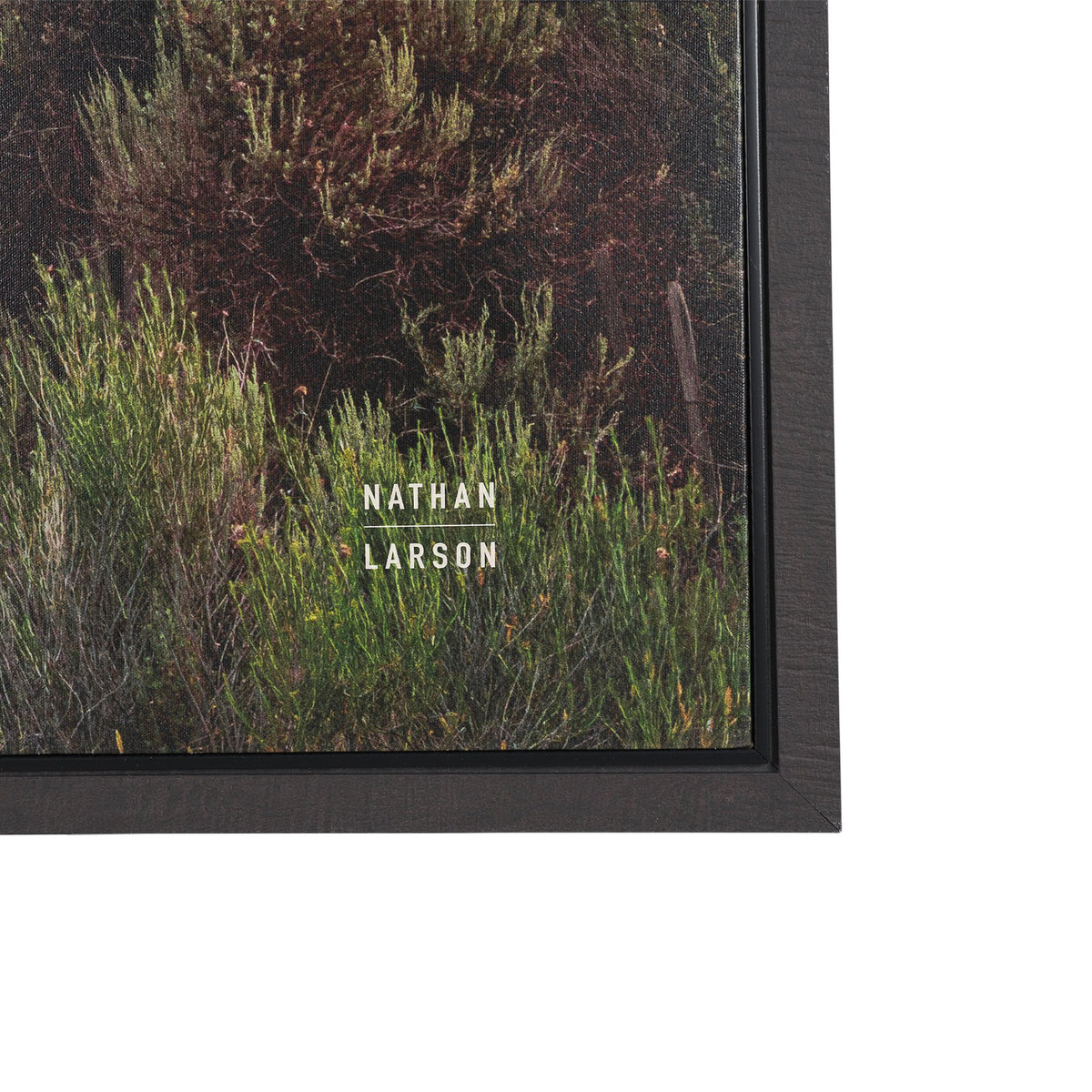 Rebirth by Nathan Larson Textured Framed Canvas Artwork (Set of 3) from Mercana - Luna Furniture