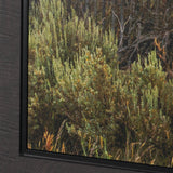 Rebirth by Nathan Larson Textured Framed Canvas Artwork (Set of 3) from Mercana - Luna Furniture