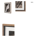 Sahara Style - Bird by Maja Gunnarsdottir Textured Framed Artwork Matted under Glass from Mercana - Luna Furniture