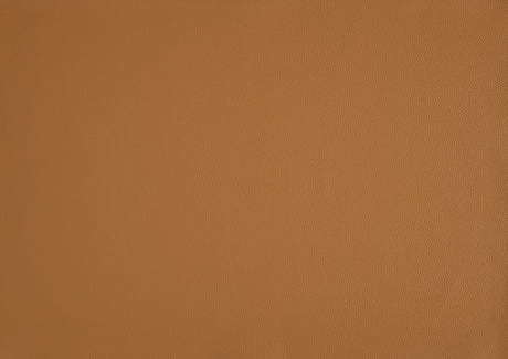 Crafton Orange Leather Accent Chair from Homelegance - Luna Furniture