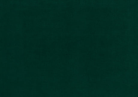 Roslyn Green Velvet Accent Chair from Homelegance - Luna Furniture