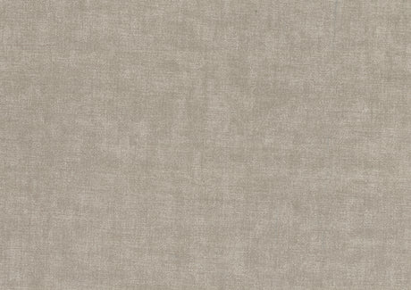 Roslyn Taupe Velvet Accent Chair from Homelegance - Luna Furniture