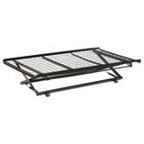 Ethan Black Pop Up Trundle Bed with Rollers from Coaster - Luna Furniture