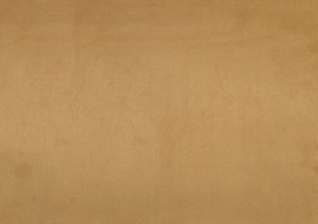 1203 Togo Yellow Accent Chair from Homelegance - Luna Furniture