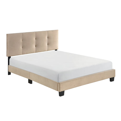 Bari Brown Twin Platform Bed from Homelegance - Luna Furniture