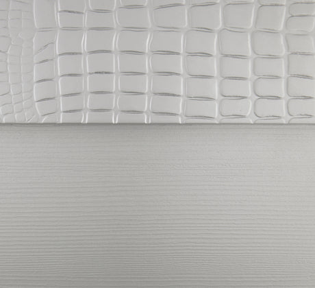 Aveline Silver Mirror (Mirror Only) from Homelegance - Luna Furniture