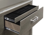 Tamsin Silver/Gray Metallic Dresser from Homelegance - Luna Furniture