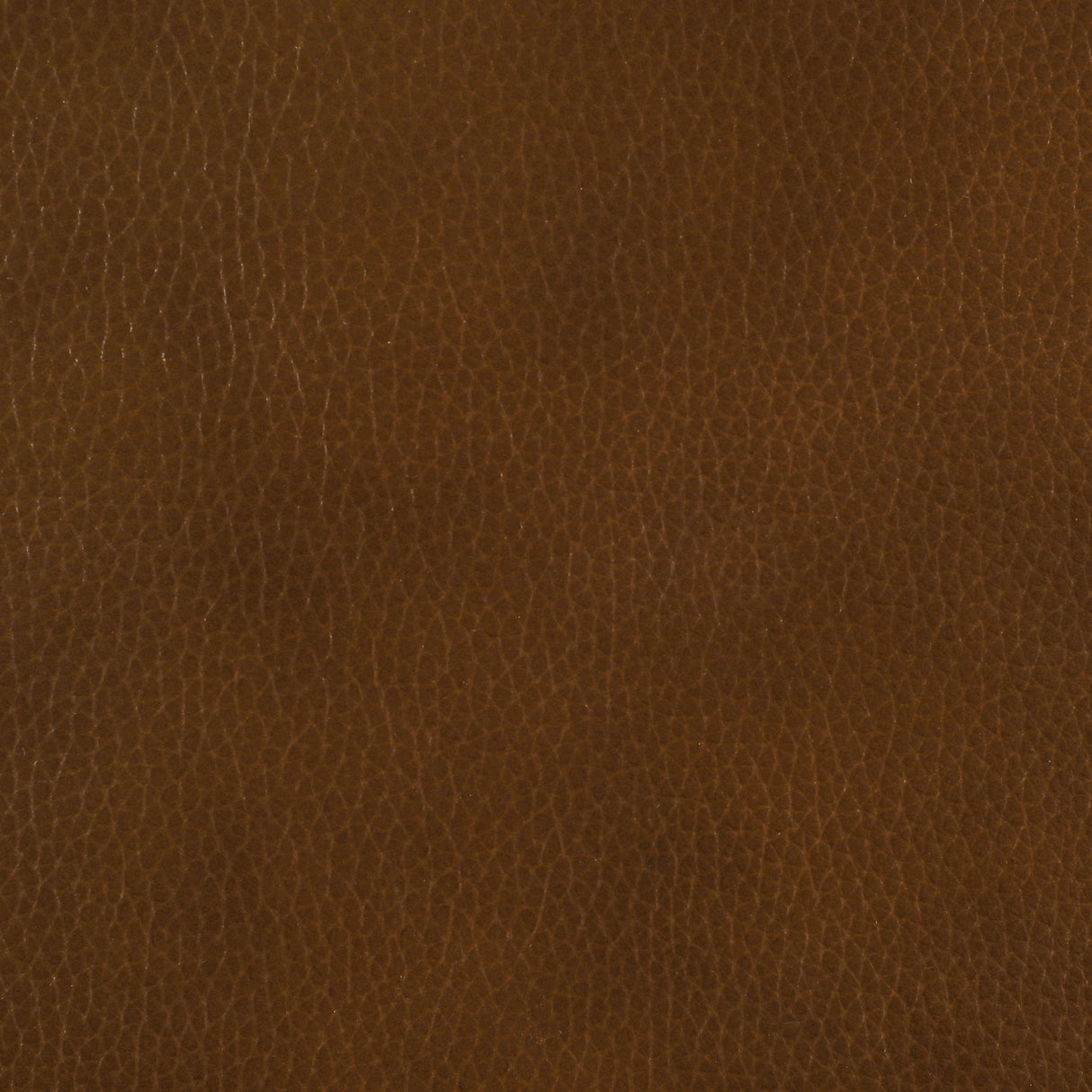 Vardon Dark Brown Genuine Leather Bar Stool (Set of 2) from Coaster - Luna Furniture