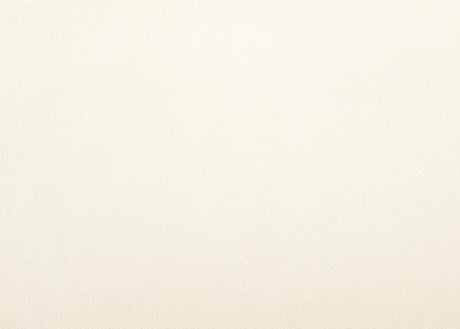 Allura White Chest from Homelegance - Luna Furniture