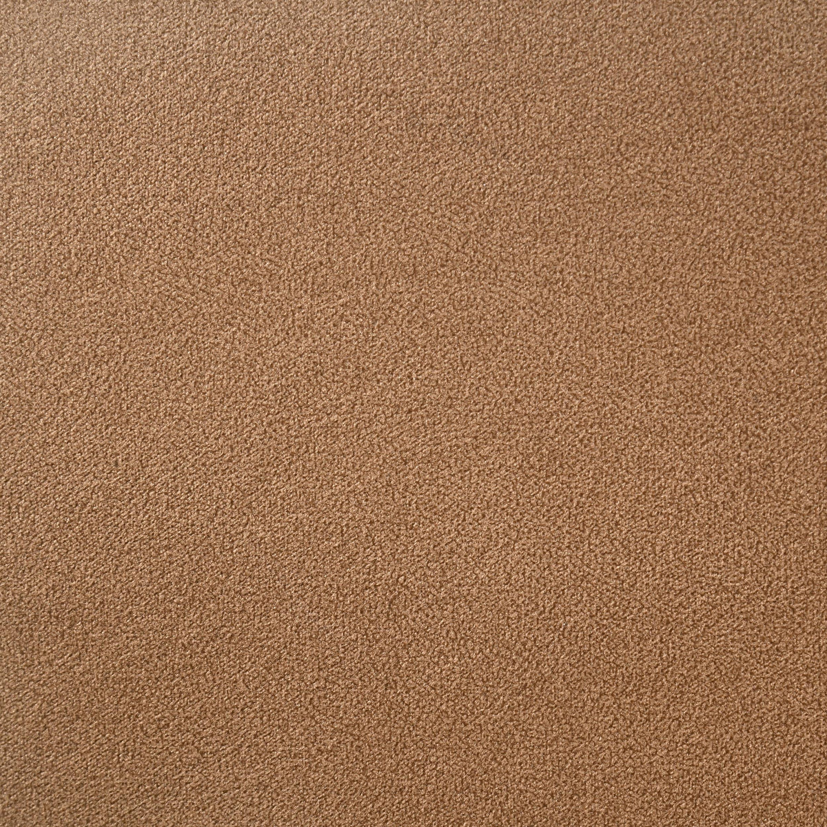 Randolph Sheesham chair upholstery swatch, tan woven texture close-up