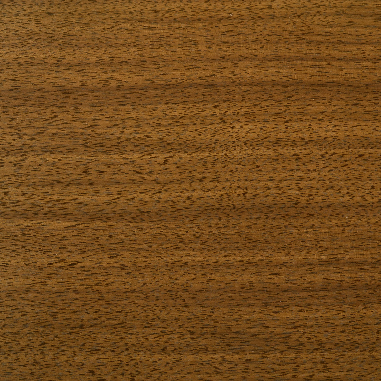 Galindo Walnut 52-inch Round Walnut Veneer Dining Table from Coaster - Luna Furniture