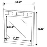 Carlton Cappuccino Upholstered Rectangular Mirror (Mirror Only) from Coaster - Luna Furniture