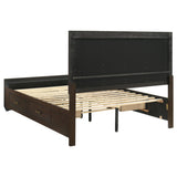 Kauffman Dark Cocoa Queen Storage Bed from Coaster - Luna Furniture