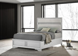 Miranda White 55-inch Upholstered Queen Panel Bed from Coaster - Luna Furniture