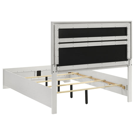 Miranda White 55-inch Upholstered Queen Panel Bed from Coaster - Luna Furniture