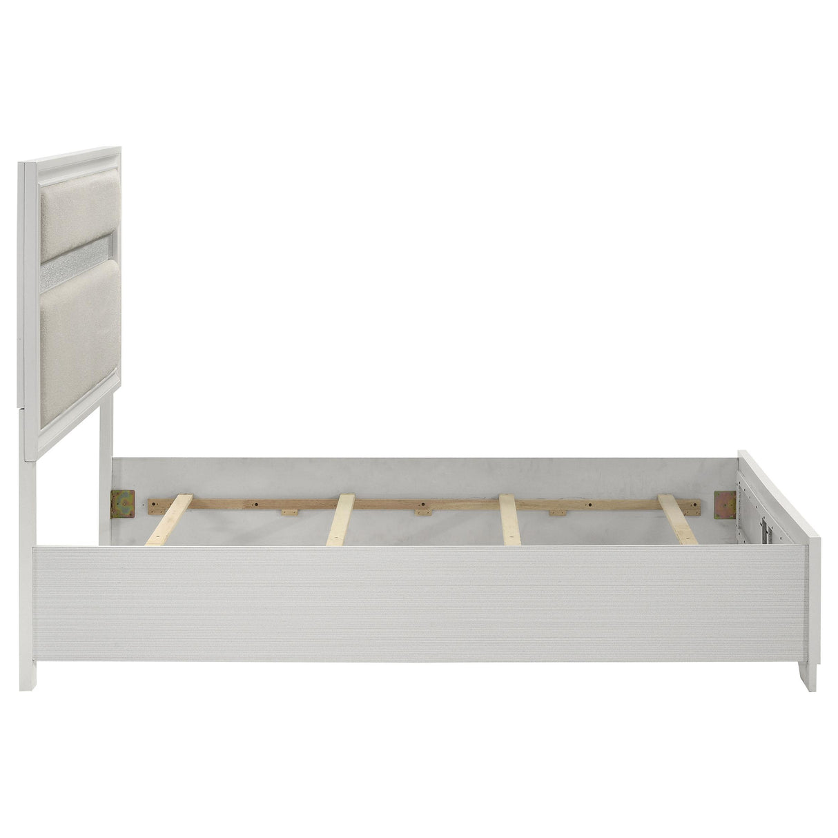 Miranda White 55-inch Upholstered Queen Panel Bed from Coaster - Luna Furniture