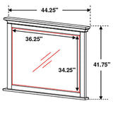 Franco Antique White Rectangular Mirror (Mirror Only) from Coaster - Luna Furniture