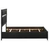 Miranda Black 55-inch Upholstered Full Panel Bed from Coaster - Luna Furniture
