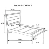 Watson Gray Oak 5-Piece Twin Panel Bedroom Set from Coaster - Luna Furniture