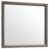Watson Gray Oak Mirror (Mirror Only) from Coaster - Luna Furniture