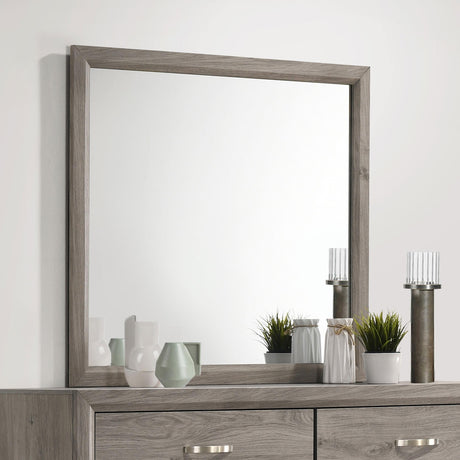 Watson Light Taupe Dresser Mirror from Coaster - Luna Furniture