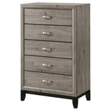 Watson Light Taupe 5-drawer Bedroom Chest of Drawers from Coaster - Luna Furniture