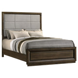 Atlas Dark Oak and Gray 63-inch Queen Upholstered Panel Bed from Coaster - Luna Furniture