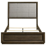 Atlas Dark Oak and Gray 63-inch Queen Upholstered Panel Bed from Coaster - Luna Furniture