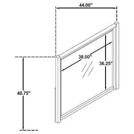 Leandro Burnished Black Dresser Mirror (Mirror Only) from Coaster - Luna Furniture