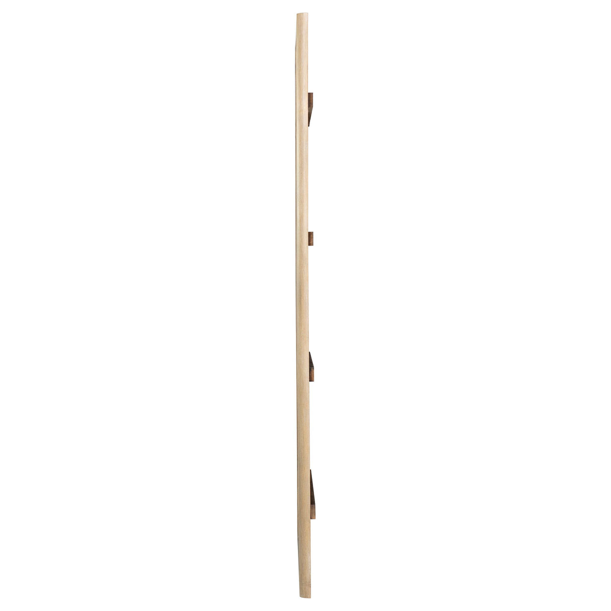 Solano Weathered Mango 80-inch Full Length Floor Mirror from Coaster - Luna Furniture
