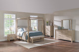 Solano Weathered Mango 80-inch Full Length Floor Mirror from Coaster - Luna Furniture
