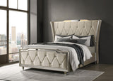 Lorient Ivory and Camel Queen LED Upholstered Wingback Bed from Coaster - Luna Furniture