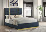 Ines Navy 52-inch Upholstered Queen Panel Bed from Coaster - Luna Furniture