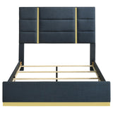 Ines Navy 52-inch Upholstered Queen Panel Bed from Coaster - Luna Furniture