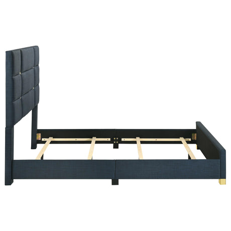 Ines Navy 52-inch Upholstered Queen Panel Bed from Coaster - Luna Furniture