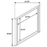 Leanne Light Oak Dresser Mirror from Coaster - Luna Furniture