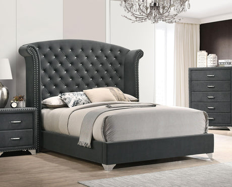 Melody Gray Upholstered Wingback Queen Bed from Coaster - Luna Furniture