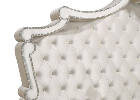 Antonella Ivory / Camel 5-piece California King Bedroom Set from Coaster - Luna Furniture