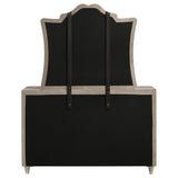 Antonella Ivory and Camel Upholstered 7-Drawer Dresser with Mirror from Coaster - Luna Furniture