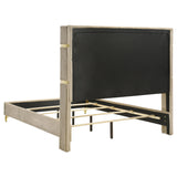 Lucia 3-piece Queen Bedroom Set Beige and White from Coaster - Luna Furniture