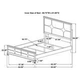 Olivia Pearl White Queen Panel Bed with LED Headboard from Coaster - Luna Furniture